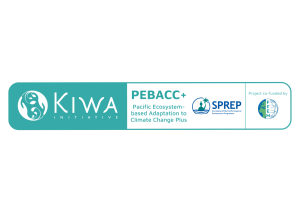 pebacc+ logo