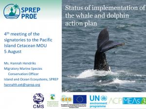 status-implementation-whale-dolphin-action-plan.pdf.jpeg
