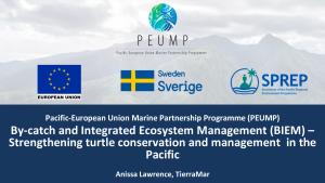 PEUMP BIEM Initiative Turtle Presentation.pdf.jpeg