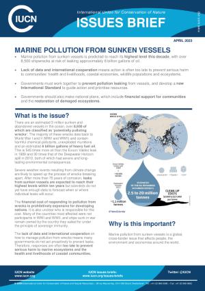 iucn-issues-brief-marine-pollution-from-sunken-vessels.pdf.jpeg