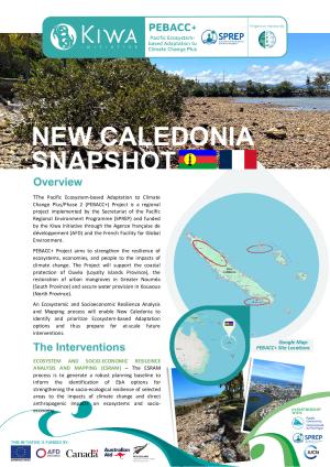 PEBACC-Snapshot-New-Caledonia_ENGLISH.pdf.jpeg