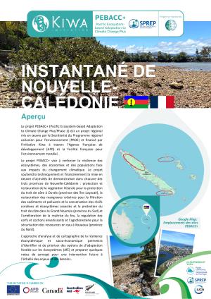PEBACC-Snapshot-New-Caledonia_FRENCH.pdf.jpeg