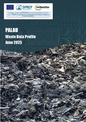 Palau-Waste-Data-Profile-June-2025.pdf.jpeg