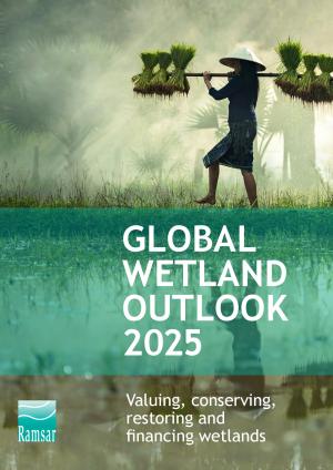 global-wetland-outlook_Eng_Rev1.pdf.jpeg