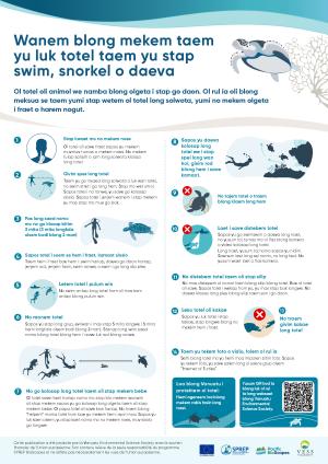 002-BISLAMA-A3-What-to-do-if-you-see-turtles-when-in-the-water-POSTER.pdf.jpeg