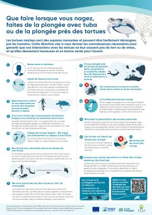 003-FRENCH-A3-What-to-do-if-you-see-turtles-when-in-the-water-POSTER.pdf.jpeg