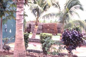 Pacific Green Furniture