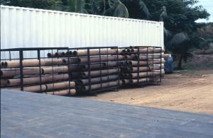coconut tree timber - drying stages