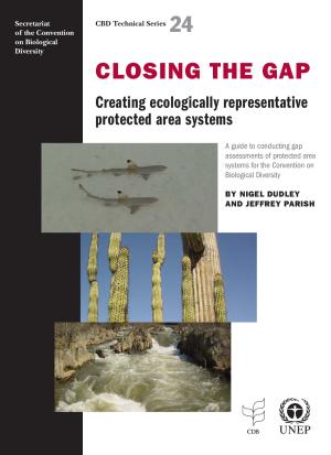 CBD Gaps Guide - Technical Series 24.pdf.jpeg