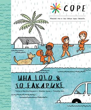 COPE_Floods_Niue_FINAL.pdf.jpeg