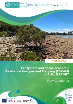 ESRAM-for-New-Caledonia-ENG.pdf.jpeg