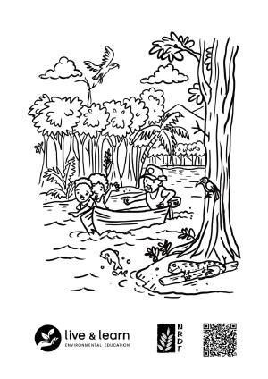 Forest-protection-colouring-sheets-1.pdf.jpeg