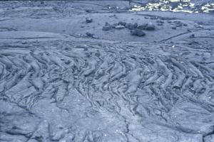 Lava fields southern walkway on coast, Upolu Samoa