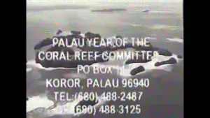 Year of the Coral Reef